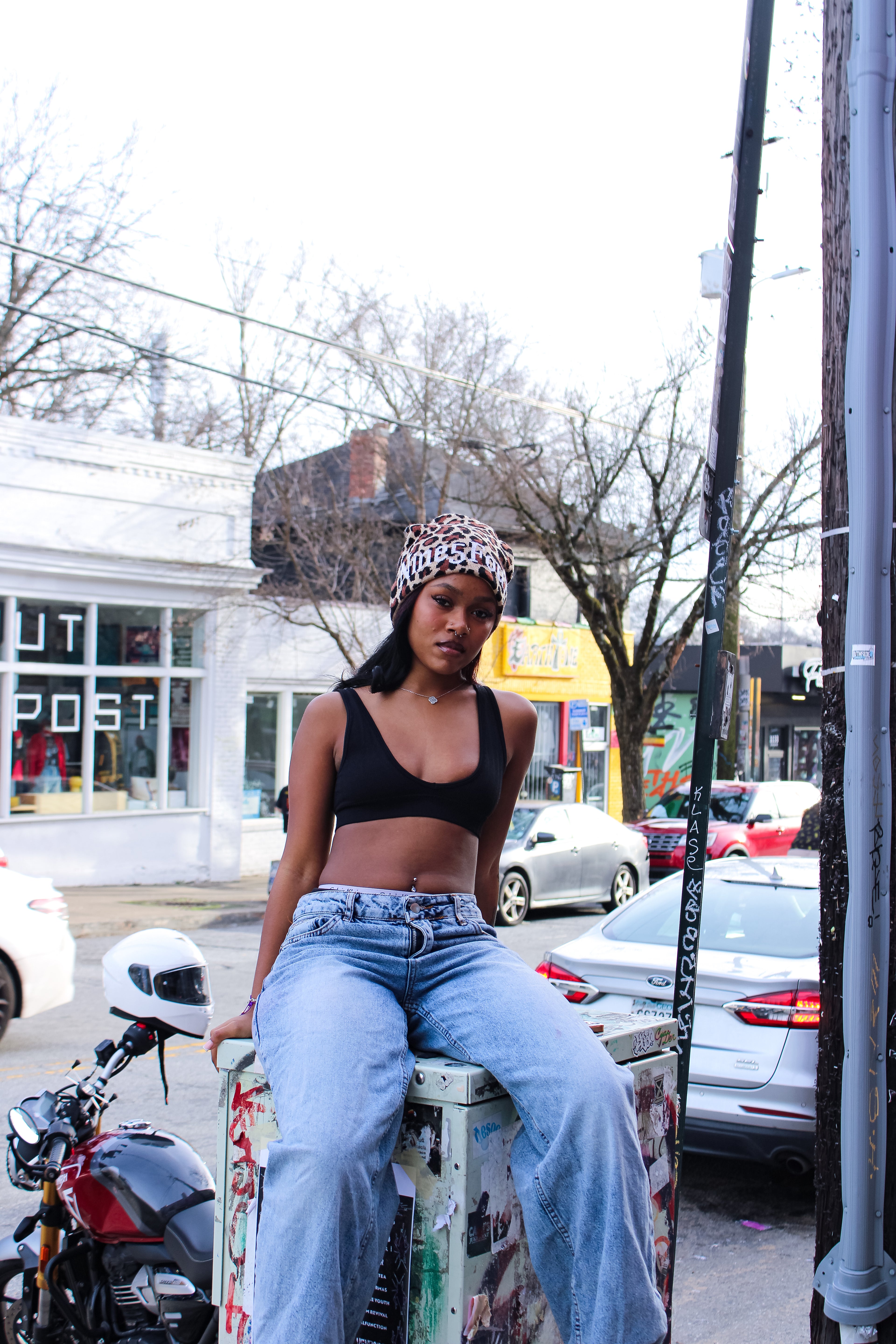 Feline Fever Beanie