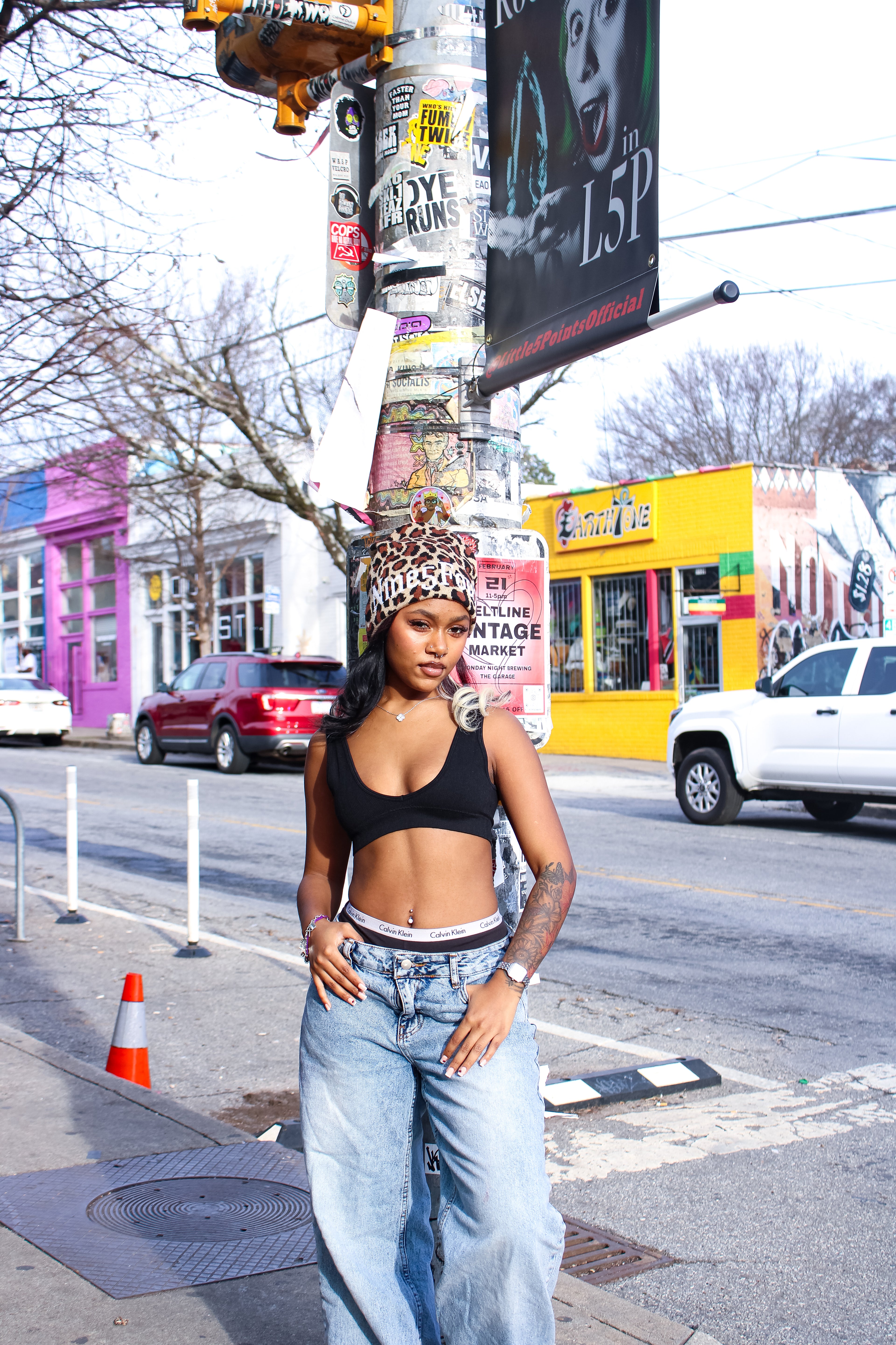 Feline Fever Beanie